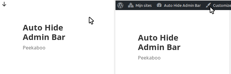 Product image for Auto Hide Admin Bar.