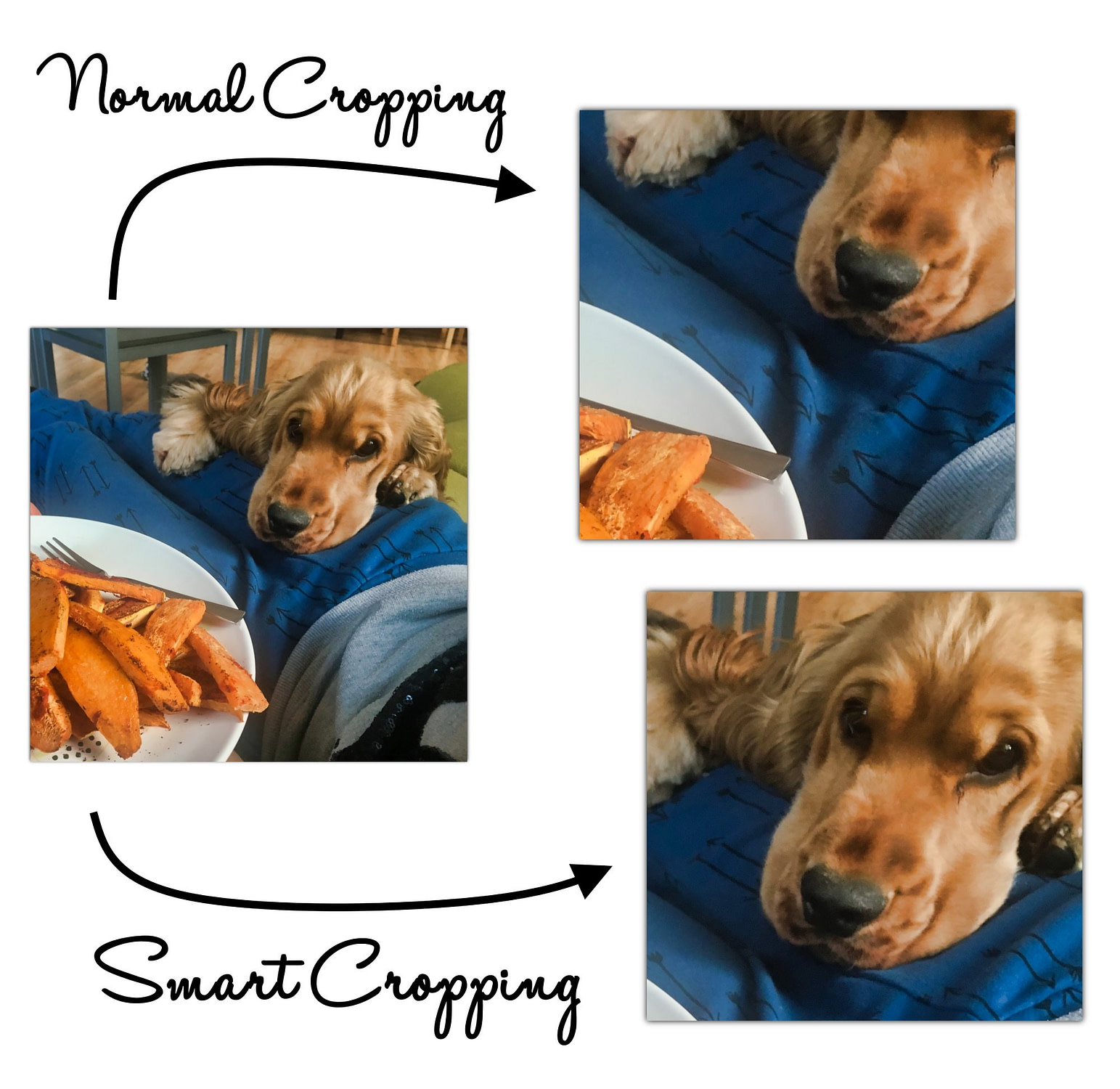 Use smart cropping to create Adaptive images for WordPress.